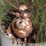 Der kleine Kupfervogel