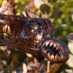 Windspiel - Drache