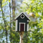 Wildlife Garden Vogel-/Futterhaus